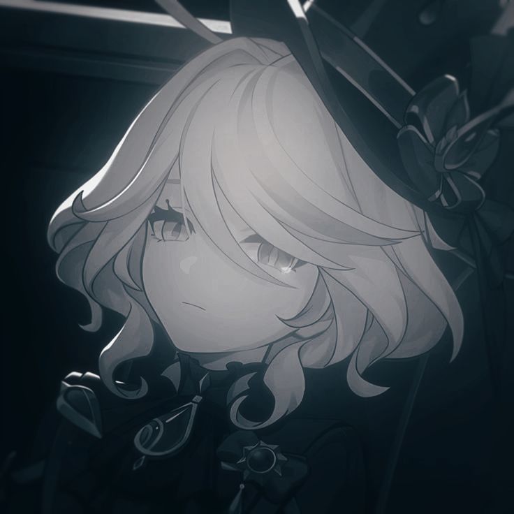 Funaria